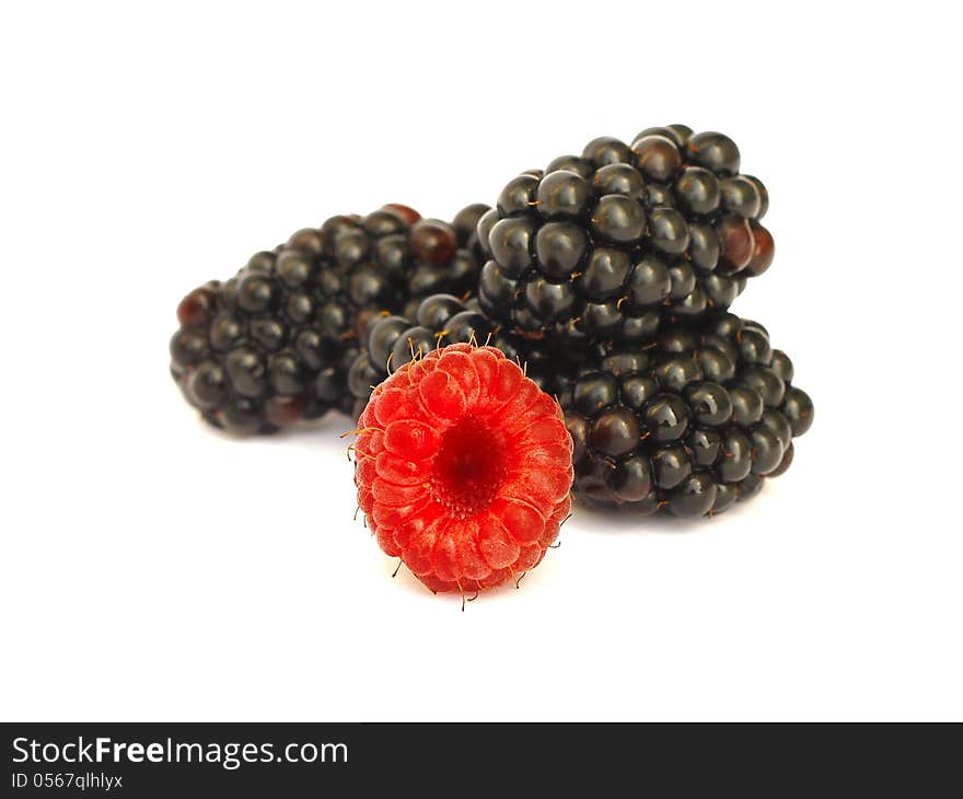 Raspberry and blackberry on white background