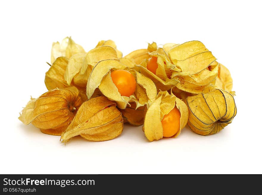 Cape gooseberry on white background. Cape gooseberry on white background