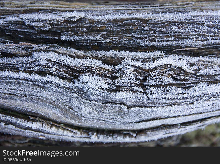 Frozen tree bark detail, snow crystals on wood. Frozen tree bark detail, snow crystals on wood