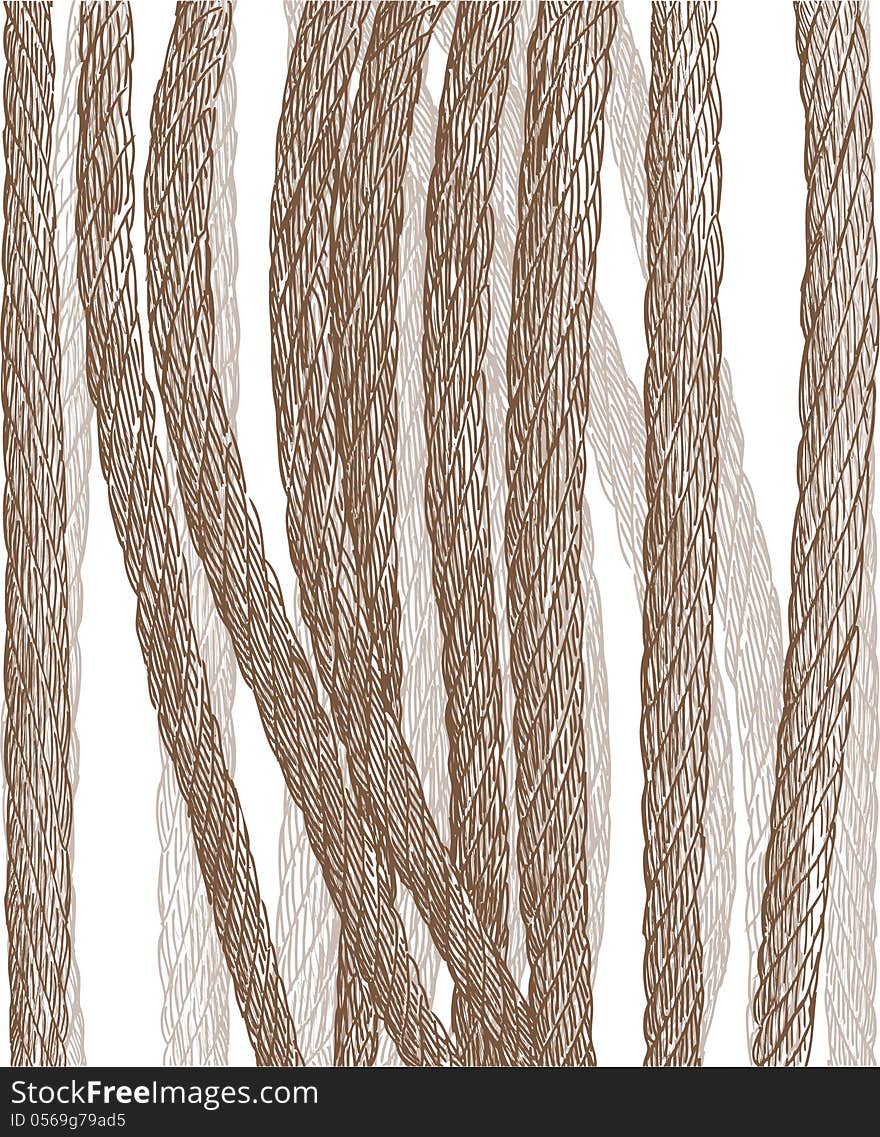 Vector drawing of several ropes. Vector drawing of several ropes.