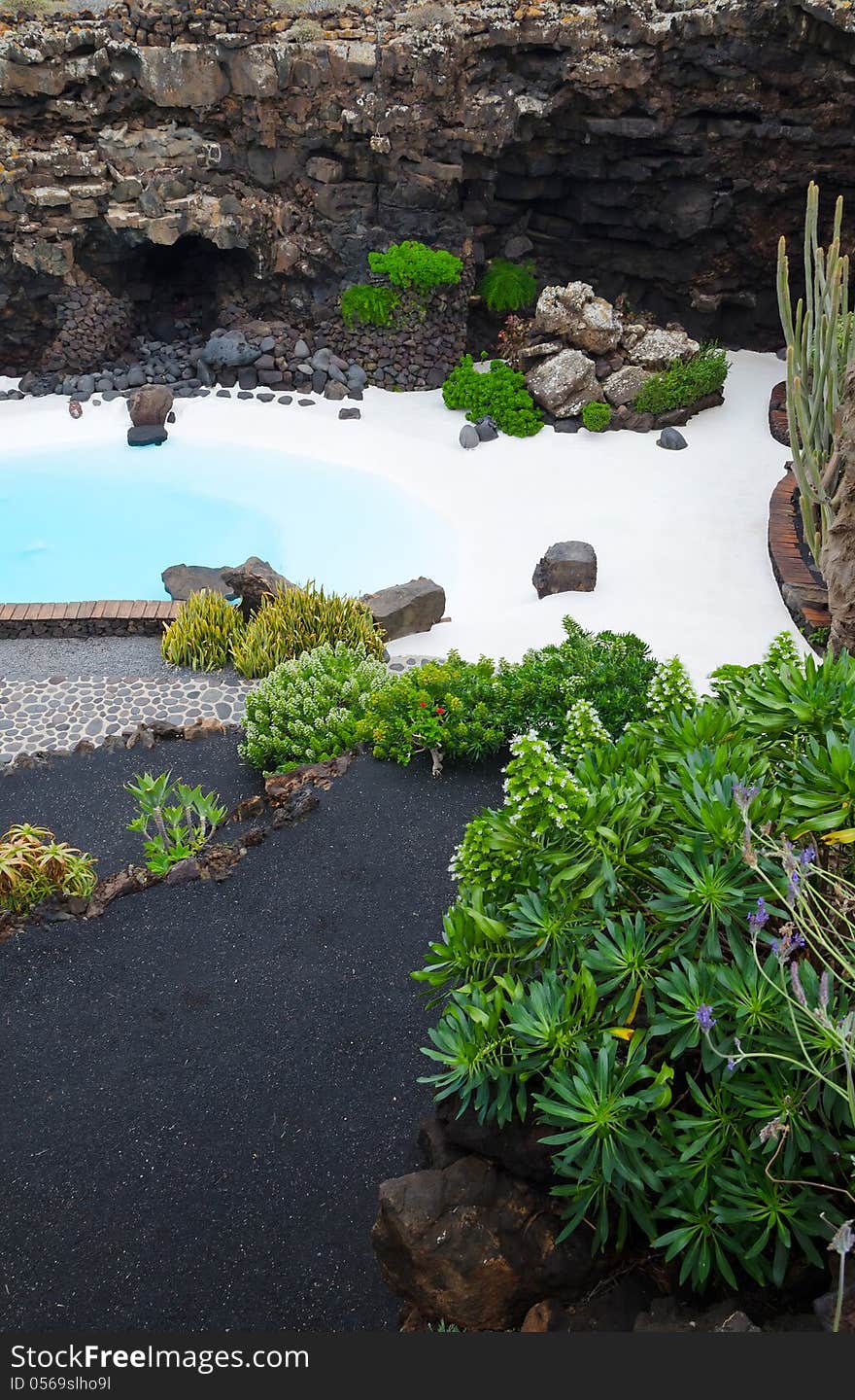 Different plants near tropical pool. Different plants near tropical pool