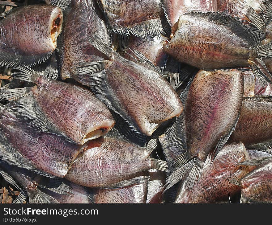 Stall of dry fish for drying in sunlight