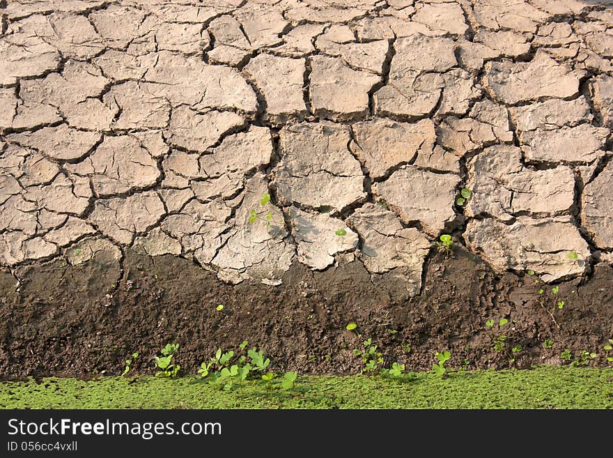 Cracked clay ground into the dry season. Cracked clay ground into the dry season