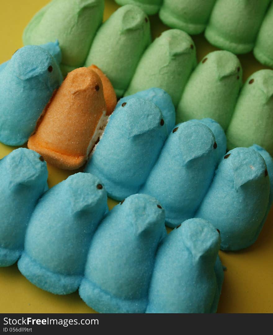 Easter peeps blue and green in row with orange in between. Easter peeps blue and green in row with orange in between