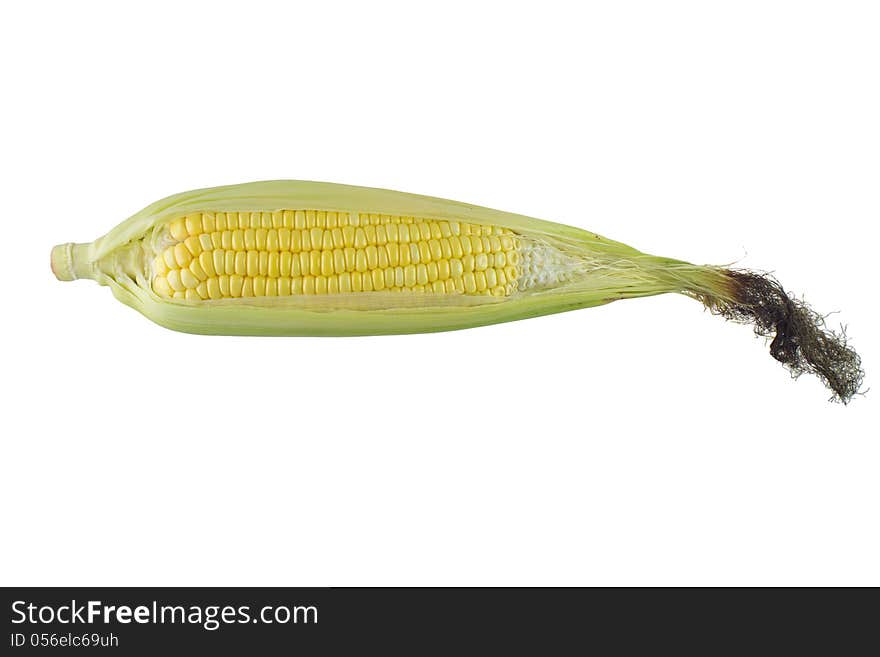 Corn isolated on white background