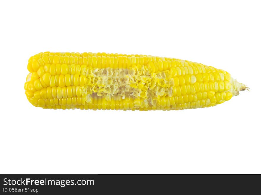 Corn isolated on white background