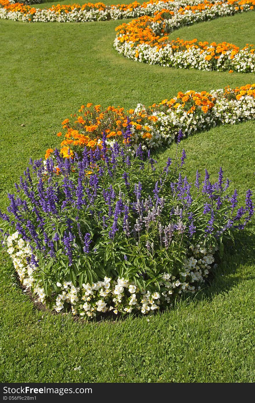 Blossoming colorful flowerbeds in summer city park