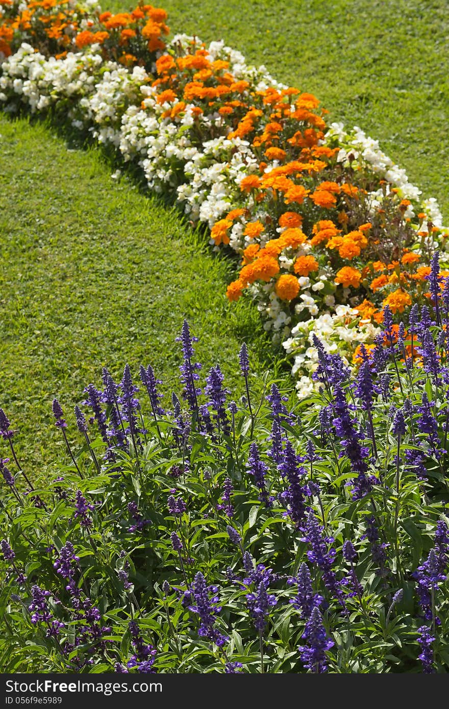 Blossoming colorful flowerbeds in summer city park