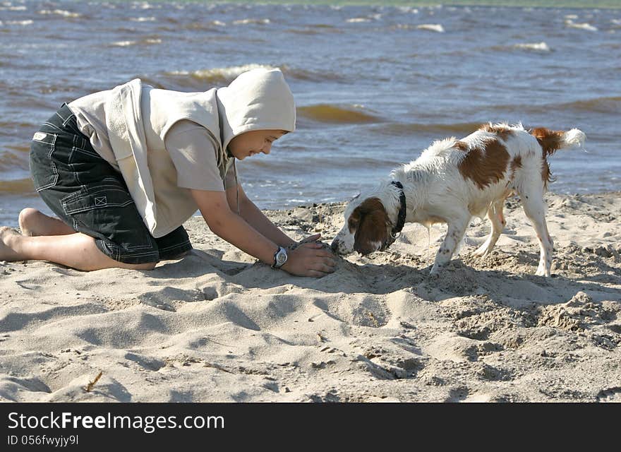 The boy plays with a puppy on the seashore. The boy plays with a puppy on the seashore