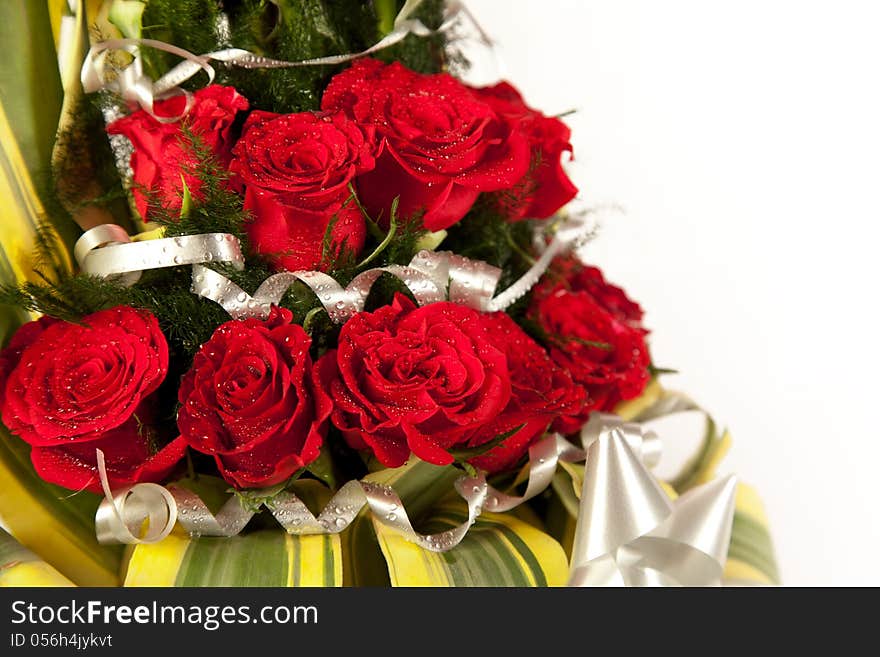 Red rose flowers  with water drops