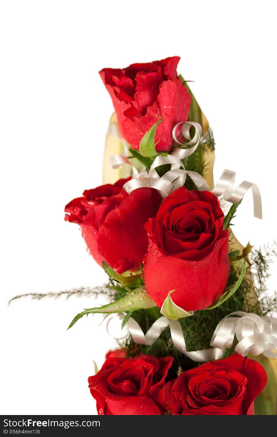 Beautiful red rose flowers with water drops. Beautiful red rose flowers with water drops