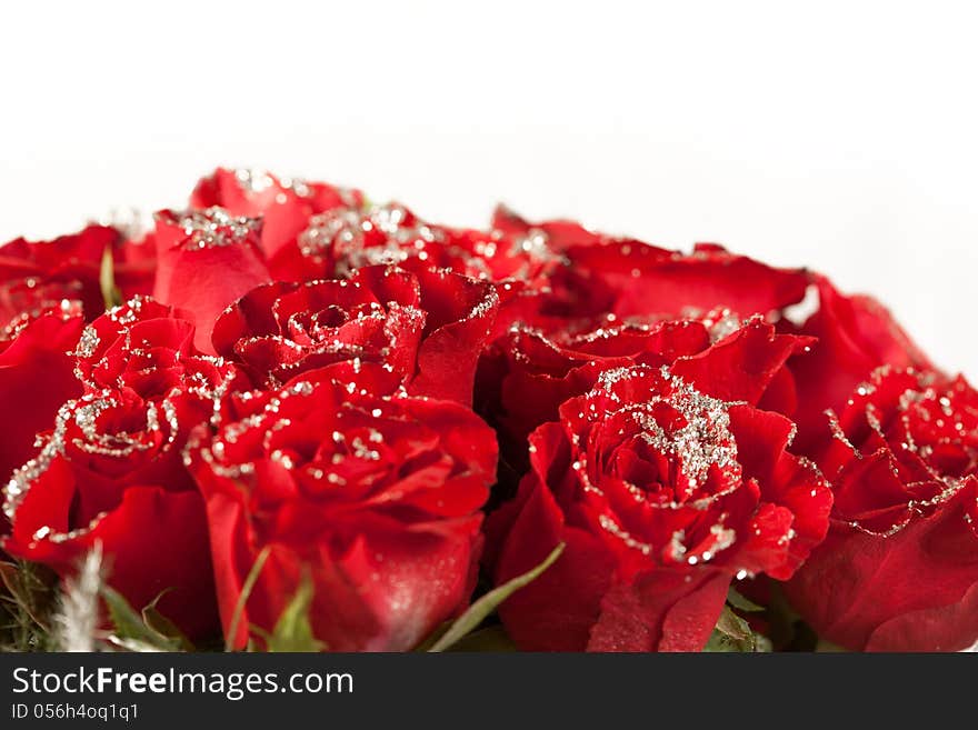 Beautiful red rose flowers with sparkle particles. Beautiful red rose flowers with sparkle particles