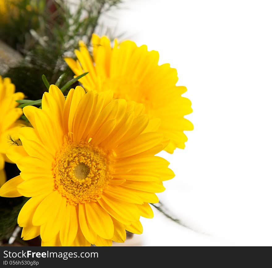 Bouquet of yellow and white  flowers