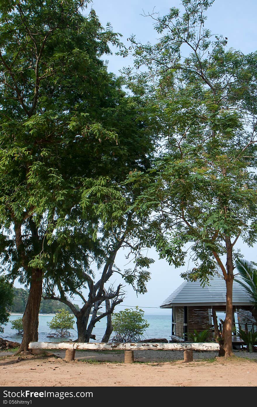 Coconut chair on the beach