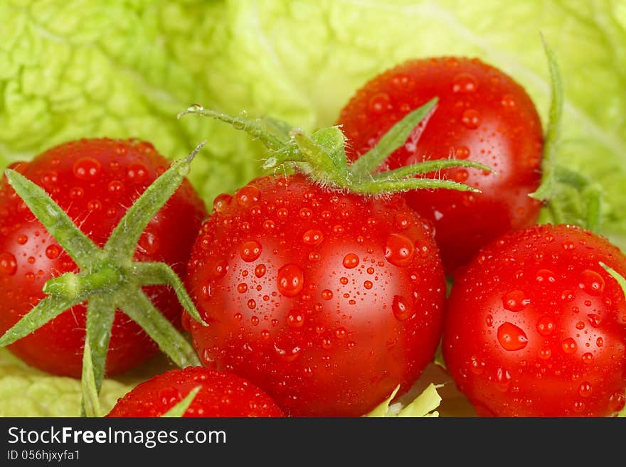 Fresh and wet tomatoes lying on the salad leaves