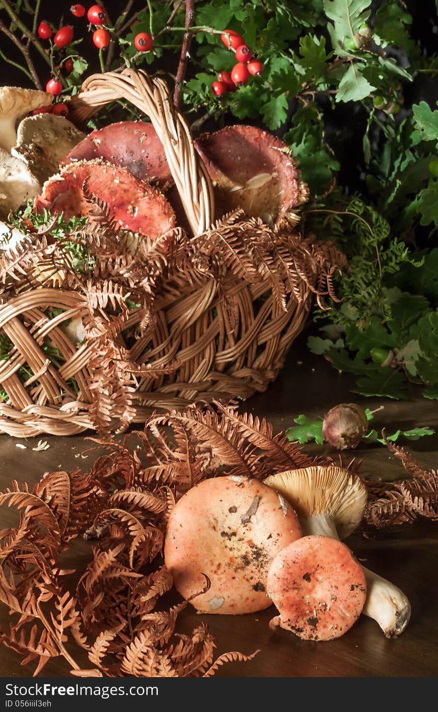 Basket with mushrooms on wooden table