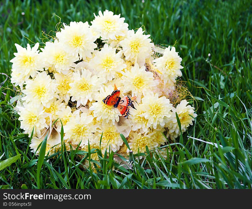 Bouquet from yellow asters with butterfly on green grass