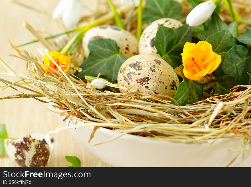 Easter nest with quail eggs and spring flowers, close up