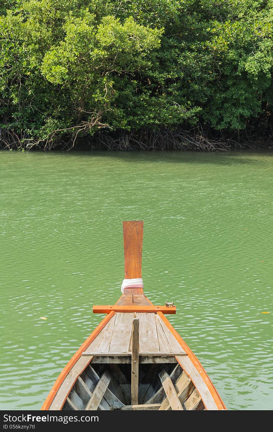 A Boat With Mangrove Forest