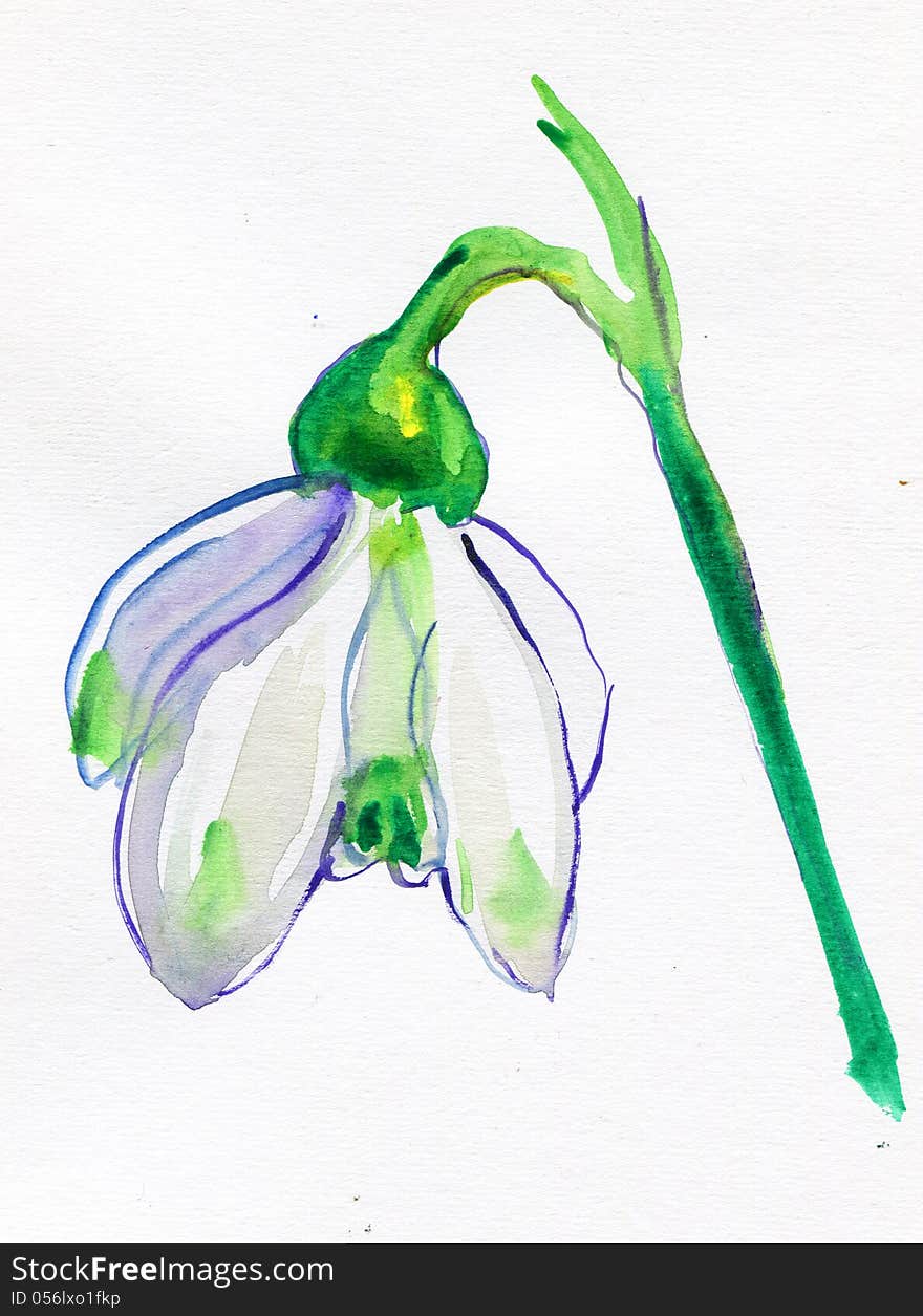 Snowdrop