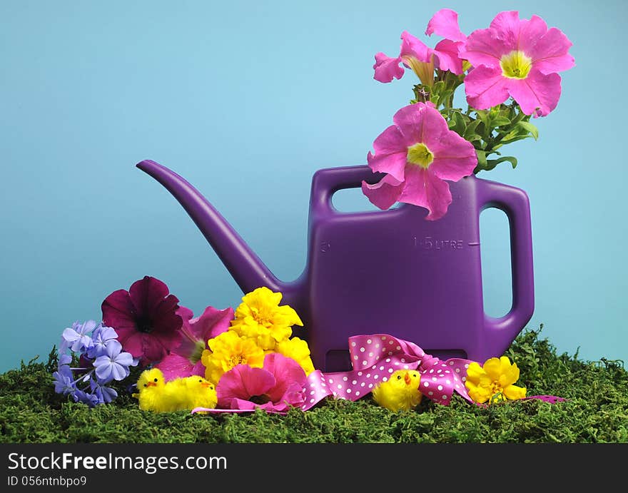 Spring setting with purple watering can.