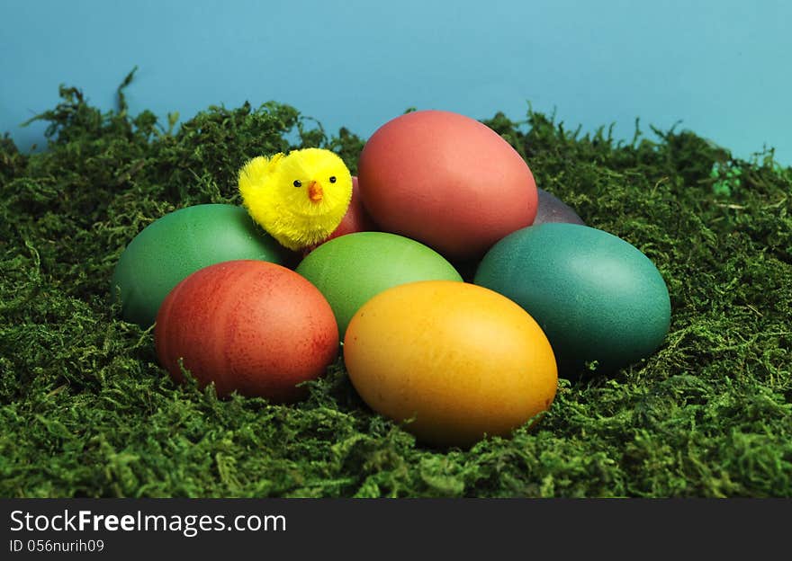 Colorful rainbow eggs with yellow chick and pretty flowers on green grass moss against a blue background. Colorful rainbow eggs with yellow chick and pretty flowers on green grass moss against a blue background.