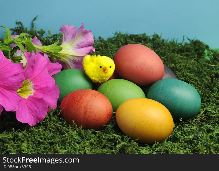 Colorful rainbow eggs with yellow chick and pretty flowers on green grass moss against a blue background. Colorful rainbow eggs with yellow chick and pretty flowers on green grass moss against a blue background.