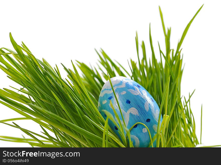 Easter eggs in green grass