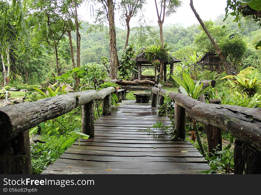 Old wooden bridge in the park, Northern Thailand