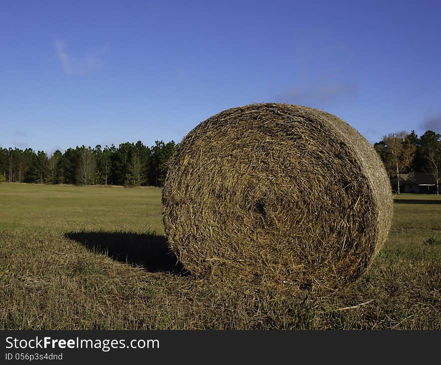 Hay Bundle