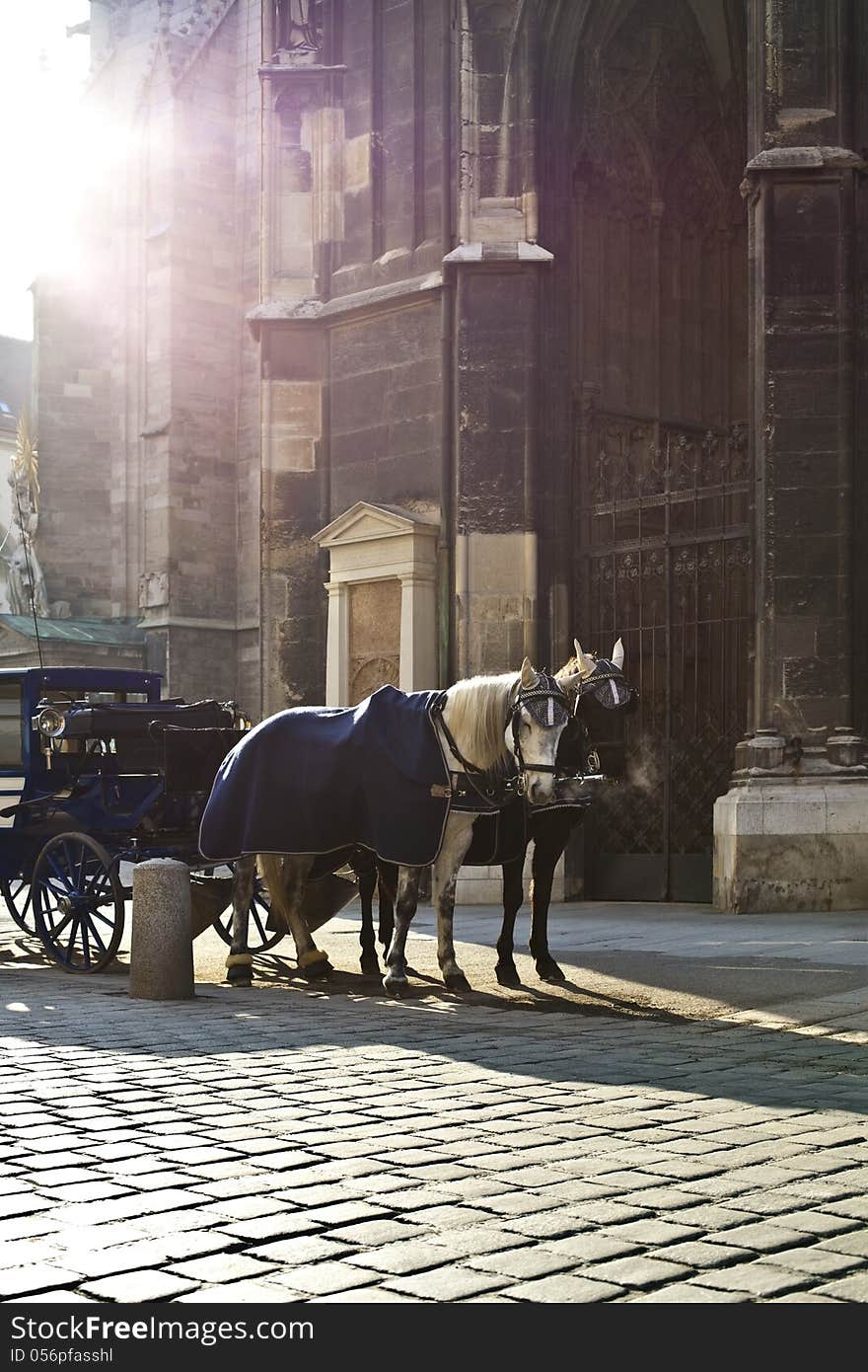 Horse Carriage In Vienna