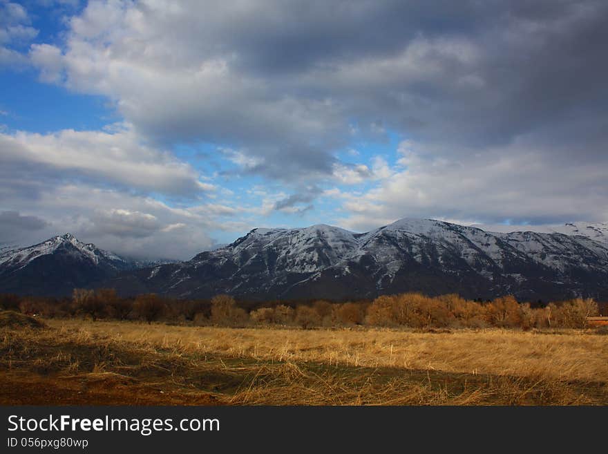 Fields And Mount Timpanogos