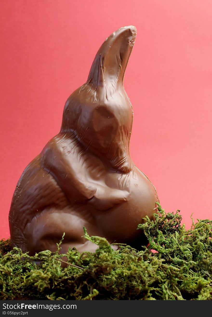 Australian alternative to the Easter bunny rabbit, a chocolate Bilby holding an egg on green moss rocks against a red background. Australian alternative to the Easter bunny rabbit, a chocolate Bilby holding an egg on green moss rocks against a red background.