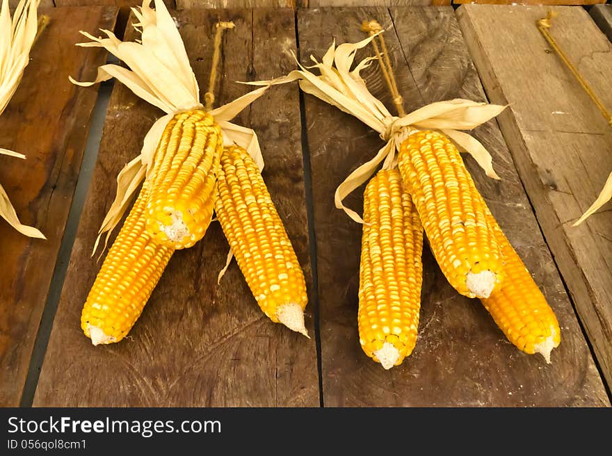 The harvest corns