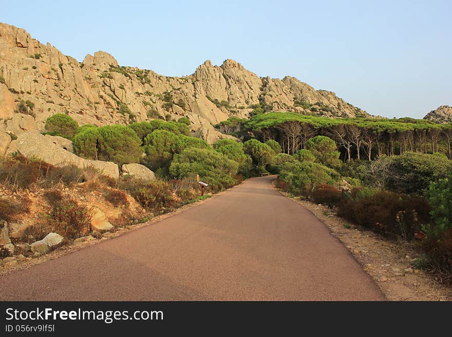 Sunset view of the island of Caprera, with its red rocks sticking out, and the road that leads into the dense forest