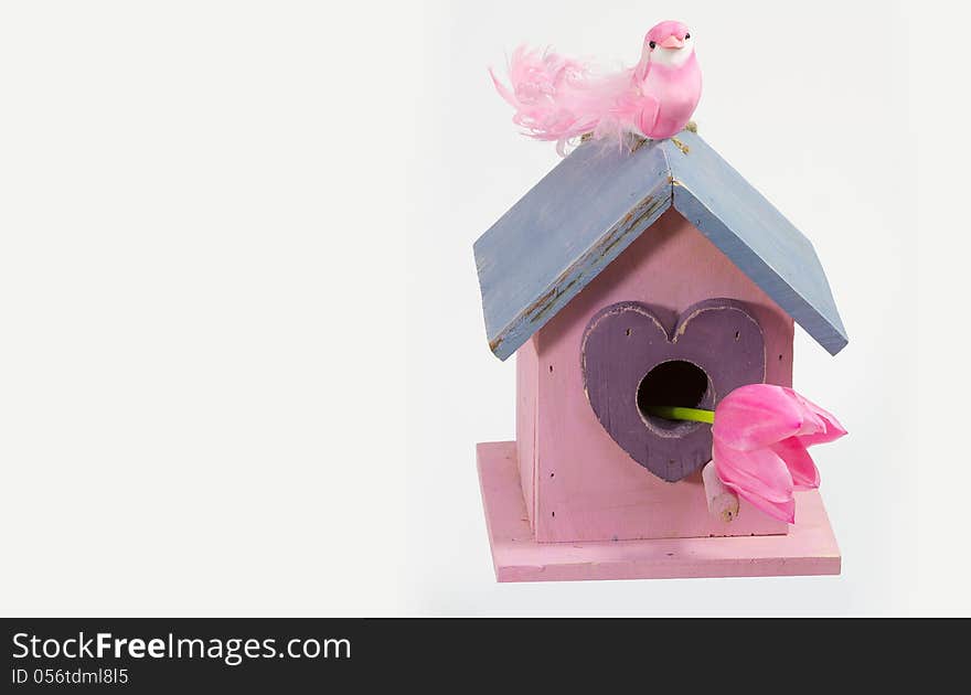 A bird lady sitting on the roof of the bird house and keeps watch for the bird males. A bird lady sitting on the roof of the bird house and keeps watch for the bird males.