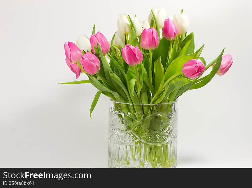 Tulips In Crystal Vase