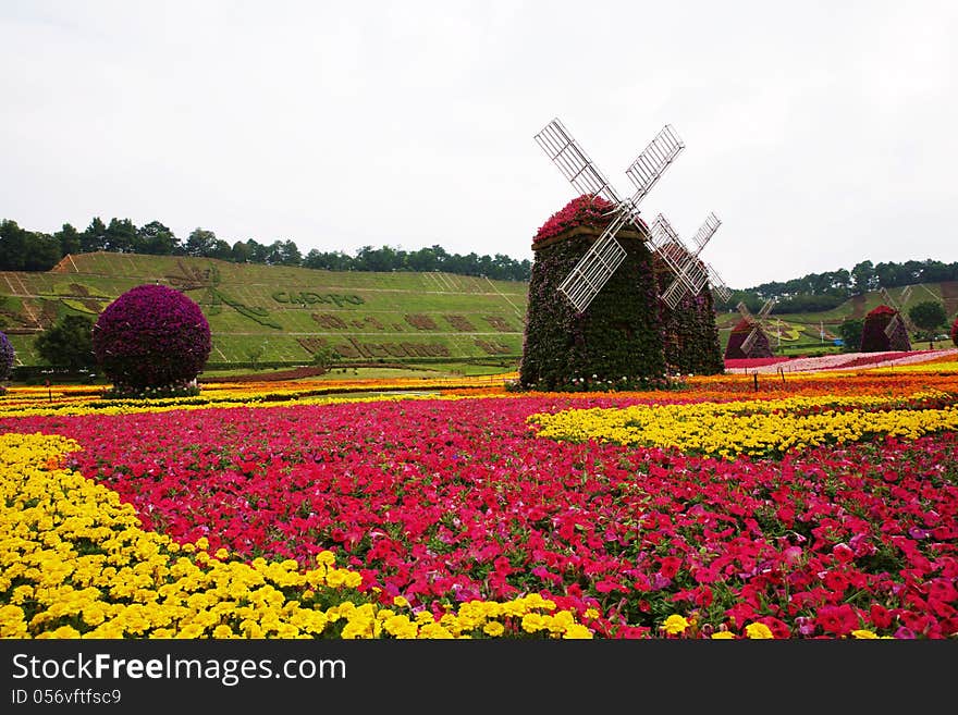 Large garden