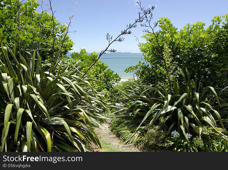 Landscape of Northland New Zealand.