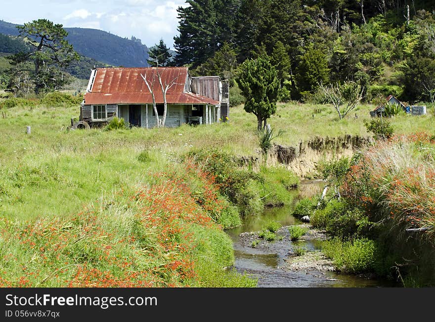 Landscape Of Northland New Zealand.