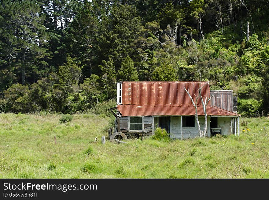 Landscape Of Northland New Zealand.