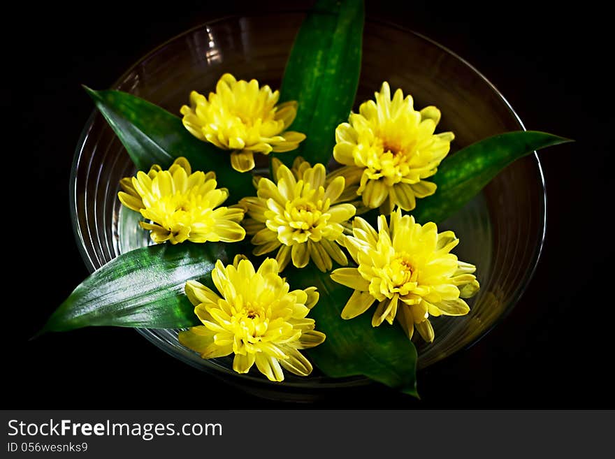 Yellow flower arrangement. Pretty daysies in the bowl with water. Spa.