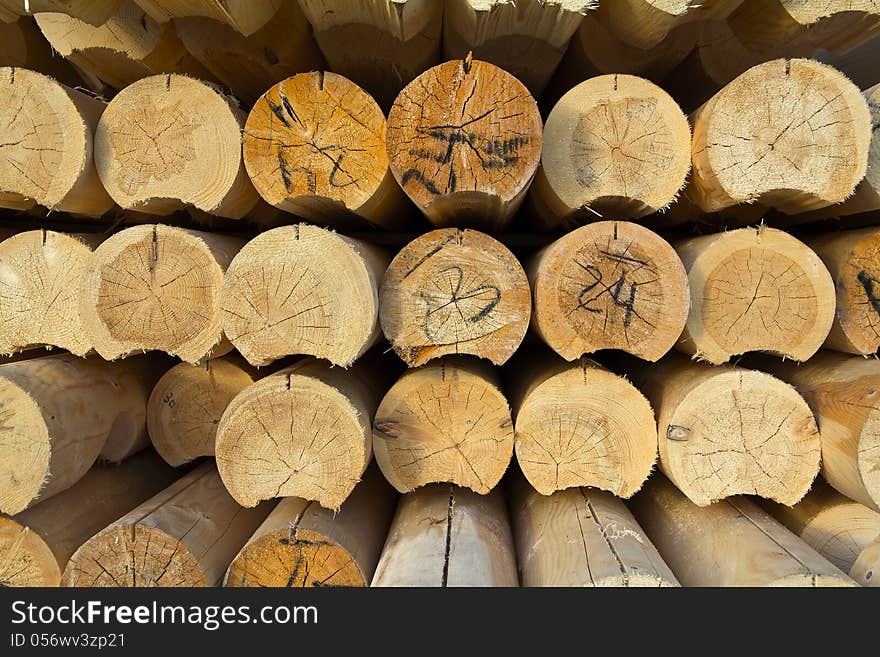 Clean wooden logs in rows outdoors. Clean wooden logs in rows outdoors