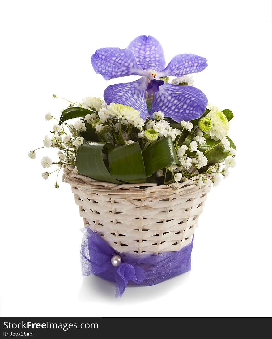 Vanda And Chrysantemums Flowers Isolated