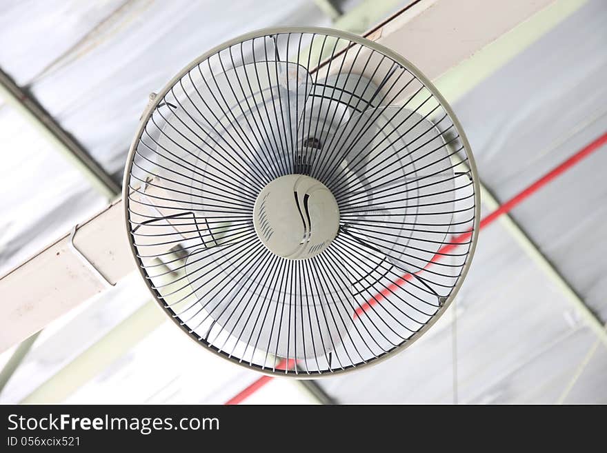 The white a Ceiling fans Spherical. The white a Ceiling fans Spherical.