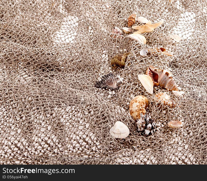 Seashells and starfish on the fishing network