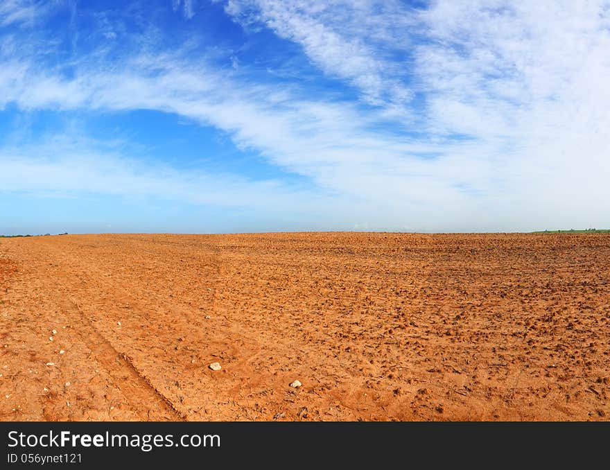 Desert field landscape