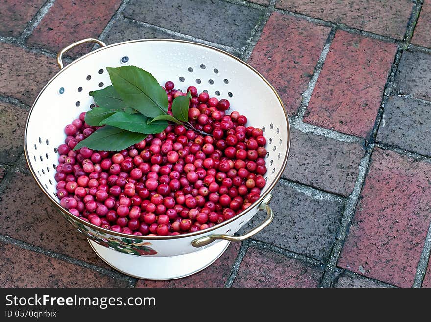 Freshly picked crab apples in colander on brick background.