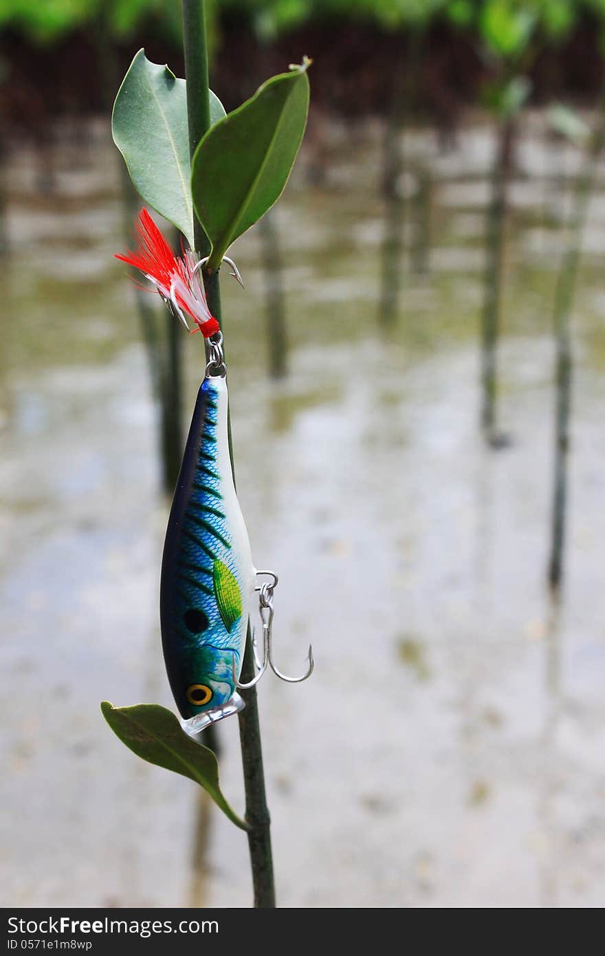 The lure fishing Stuck on tree. The lure fishing Stuck on tree.