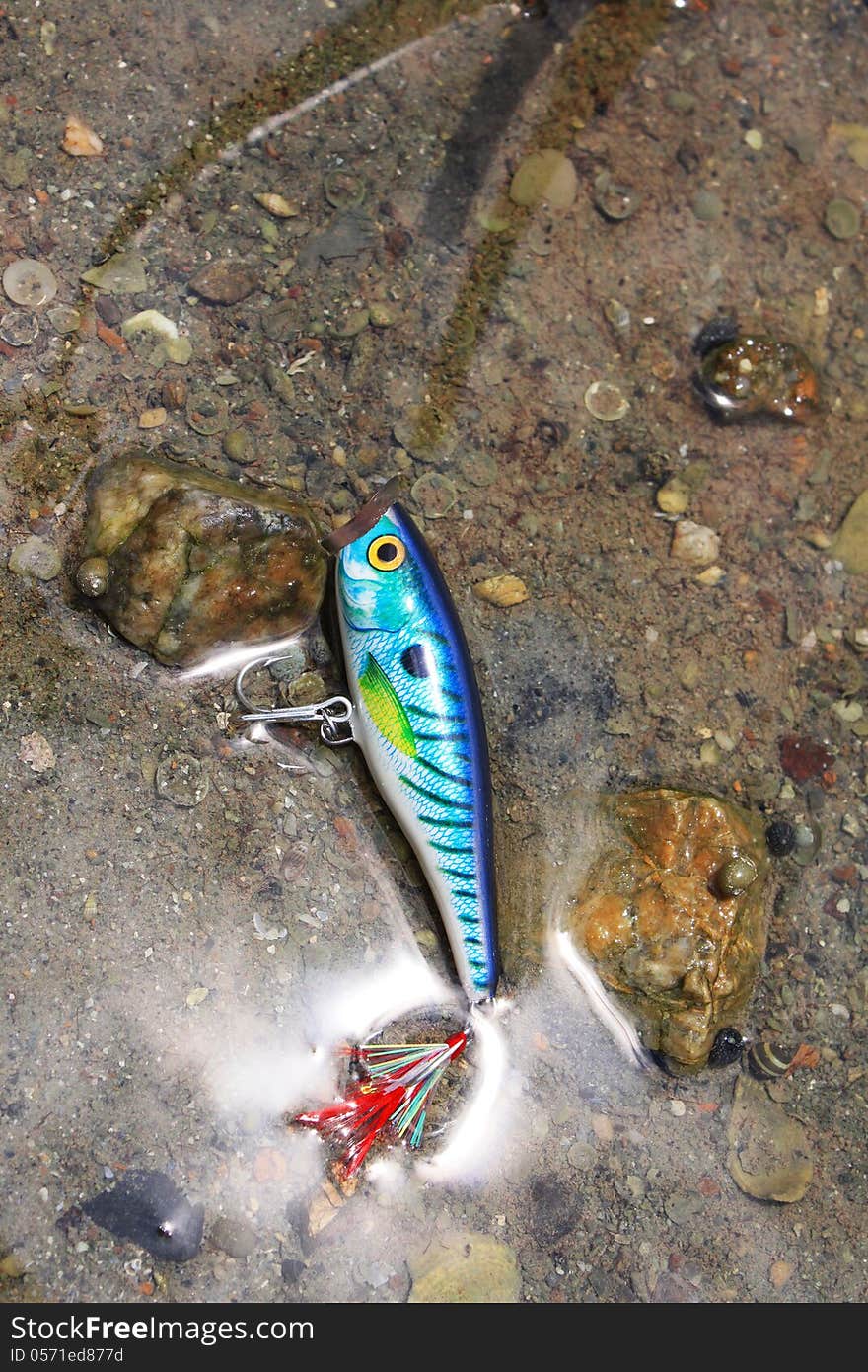 Lure fishing.